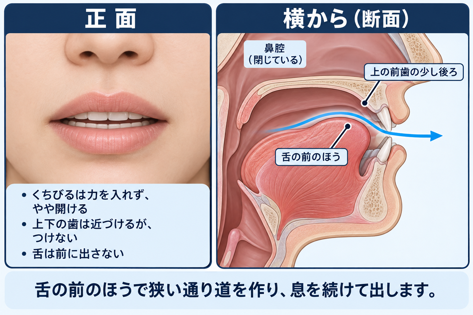 /z/ の口の形と舌の位置を正面と横から示した図