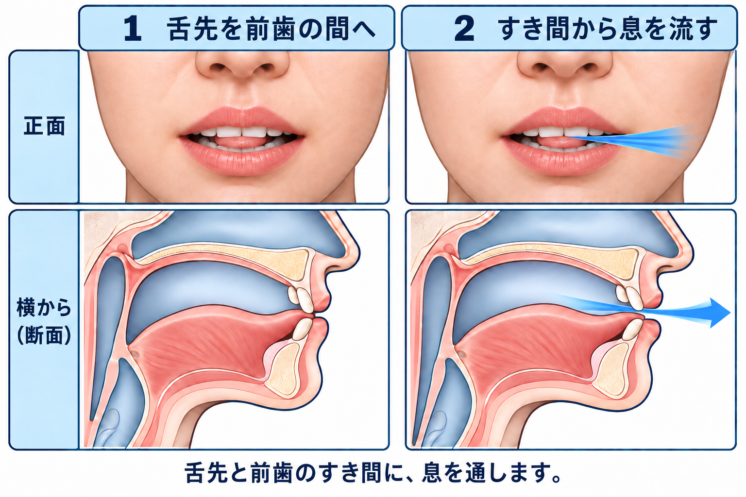 /ð/ の口の形と舌の位置を正面と横から示した図