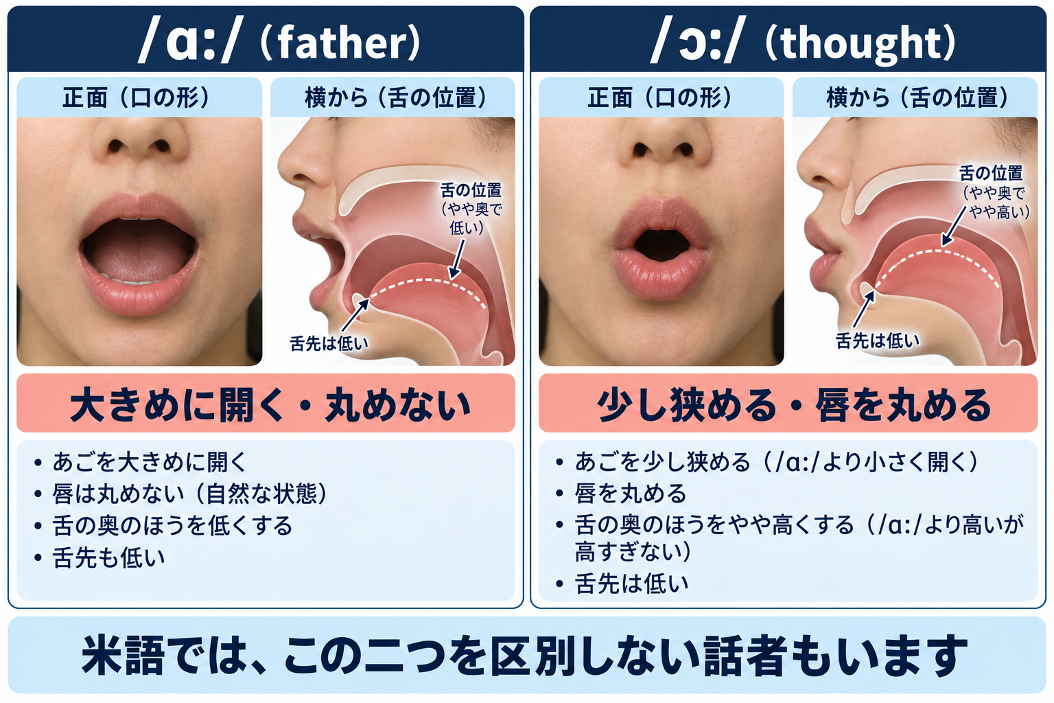 /ɔː/ の口の形と舌の位置を正面と横から示した図