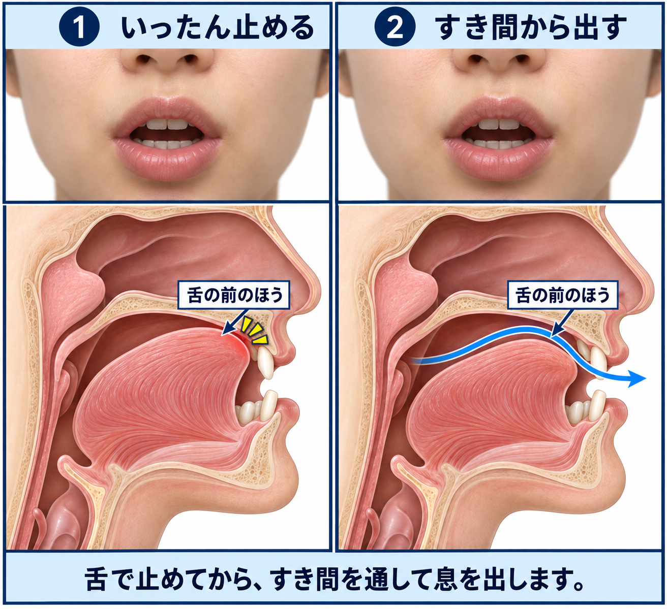 /tʃ/ の口の形と舌の位置を正面と横から示した図