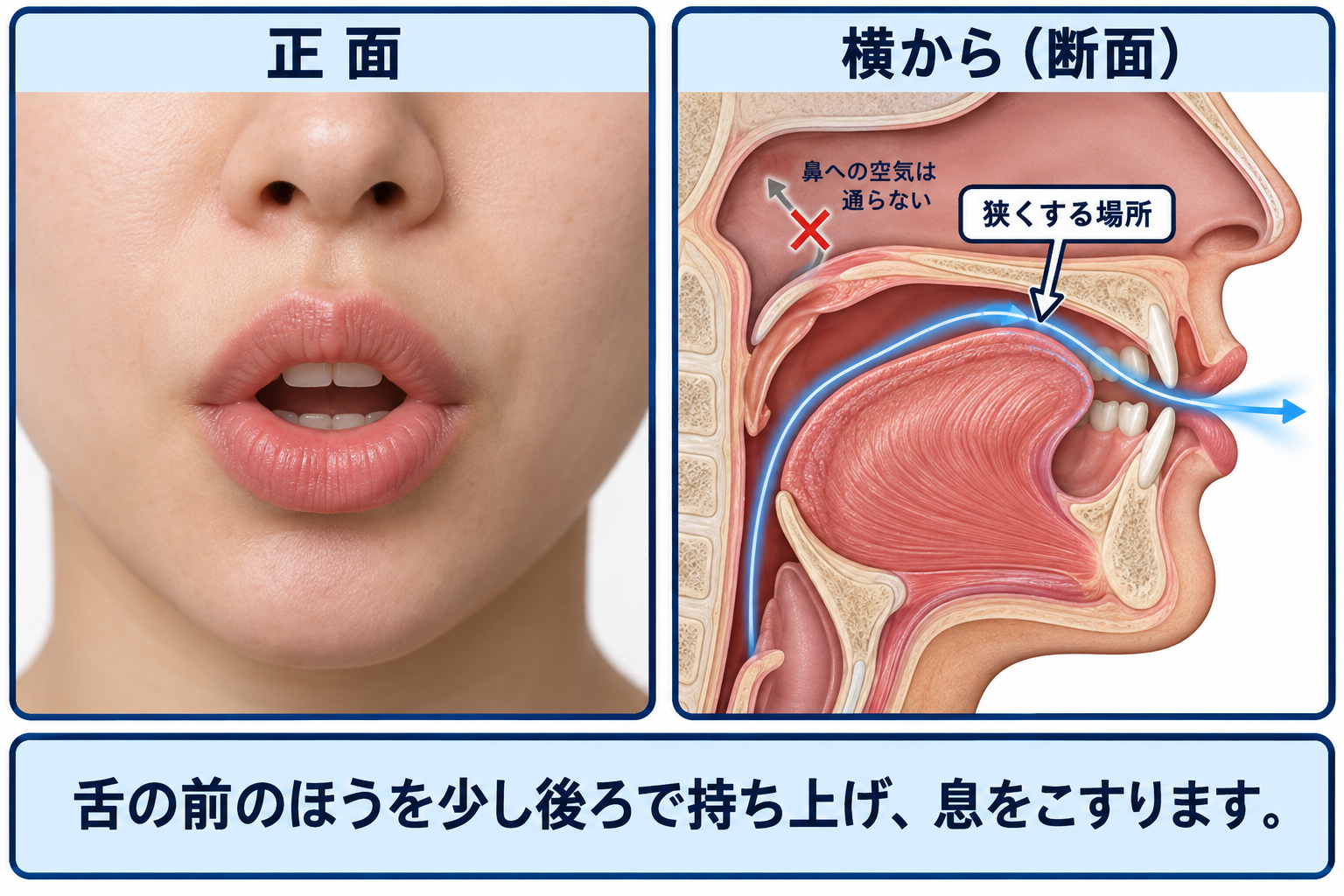 /ʃ/ の口の形と舌の位置を正面と横から示した図