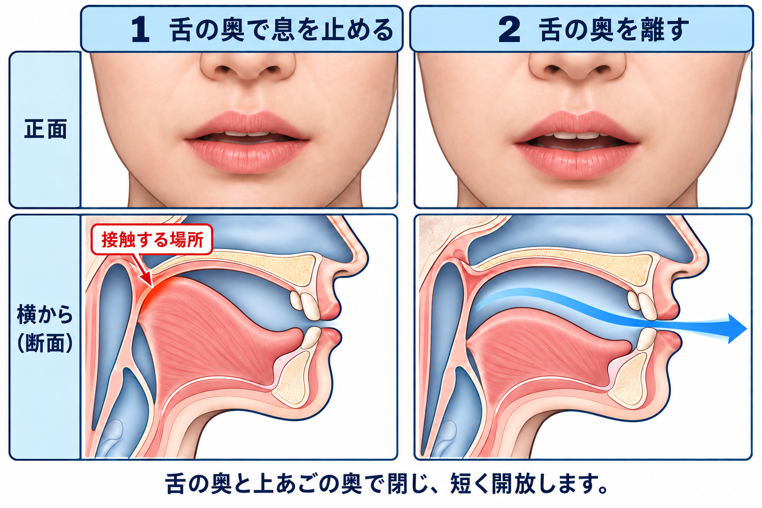 /k/ の口の形と舌の位置を正面と横から示した図
